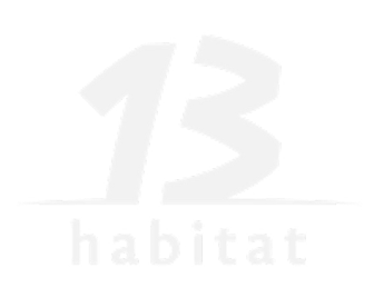 Logo 9
